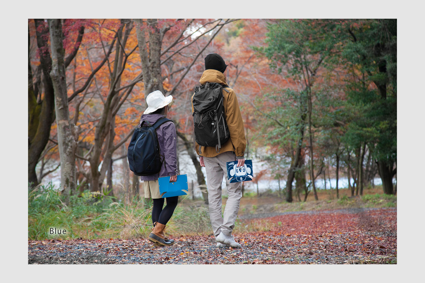 camptote olive