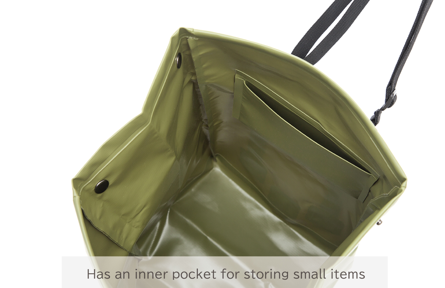 camptote olive